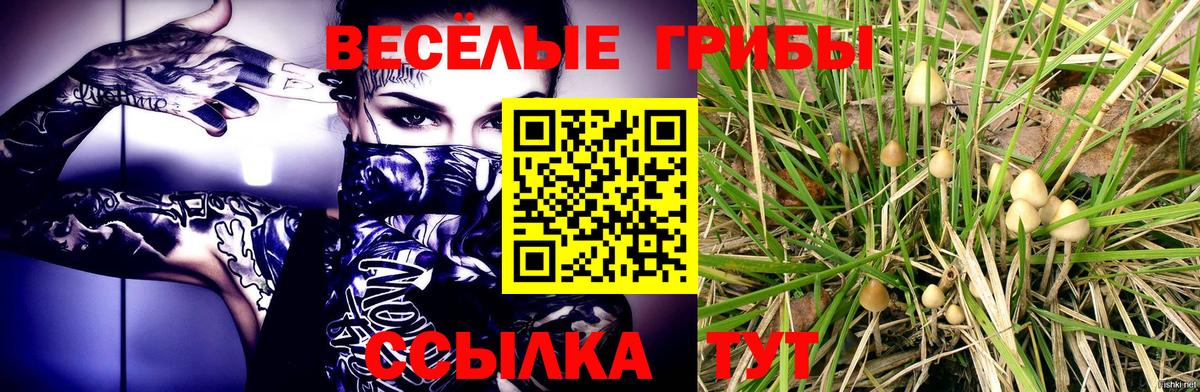 Галлюциногенные грибы прущие грибы  Вход с VPN  Белорецк 